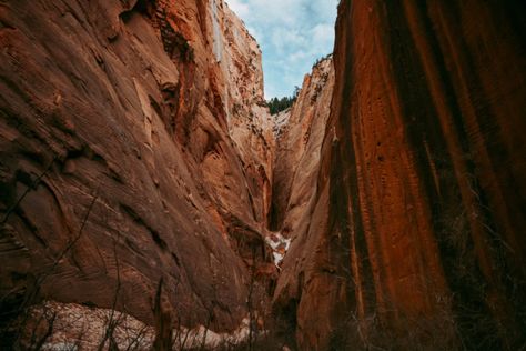 Zion National Park Climbing at Kolob Canyon + Hot Springs | The Foxes Kolob Canyon, Travel Things, Zion National Park, Travel Photographer, Antelope Canyon, Hot Springs, Good Day, Climbing, Springs