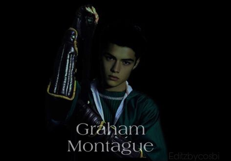 #grahammontague #hogwarts #slytherin #quidditch #slytherinquidditch Graham Montague Harry Potter, Graham Montague, Slytherin Quidditch, Harry Potter Quidditch, Buku Harry Potter, Slytherin House, Slytherin Aesthetic, Harry Potter 2, Harry Potter Cast