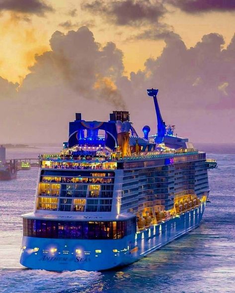 Cruise Ship Pictures, Royal Caribbean Cruise Lines, Anthem Of The Seas, Romantic Cruise, Bahamas Cruise, Cruise Holidays, Cruise Liner, Beach Cruise, Adventure Of The Seas