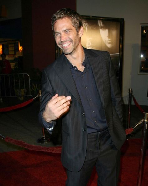 Paul Walker Eight Below, Into The Blue, The Furious, Paul Walker, Red Carpet, Carpet, Red