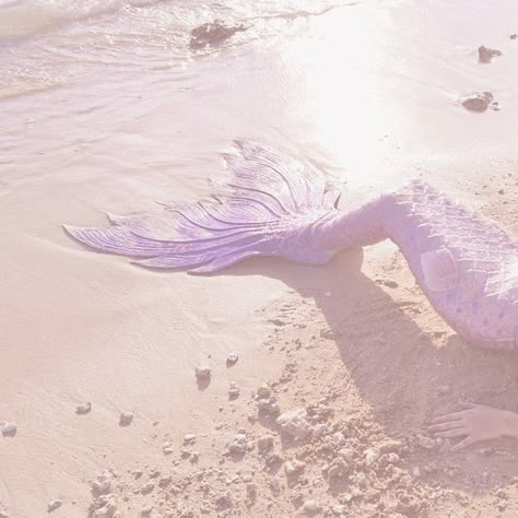 Pink Mermaid Aesthetic, Mermaid Tail Aesthetic, Aesthetic Seashells, Wanna Play Mermaids, Mermaidcore Aesthetic, Mermaid Oc, Pink Mermaid Tail, Mini Aesthetic, Aesthetic Mermaid