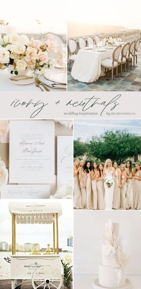 2024 Wedding Color Trends, Champagne Wedding Theme Color Schemes, 2024 Wedding Trends Color Schemes, Elegant Wedding Color Schemes, Champagne Wedding Theme, Neutral Wedding Color Schemes, White Spring Wedding, Champagne Wedding Themes, Top Wedding Colors