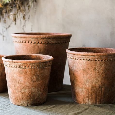 PRICES MAY VARY. Natural Material: Made from terracotta or concrete, Rustic Reach plant pots are handcrafted and fired at high temperatures, making them sturdy & heavy-duty for long-term use. Elegant Design: These terracotta pots feature an elegant round shape with a design on the edges, adding modern sophistication to both indoor and outdoor spaces. Dimensions: 7.87" D Bottom X 11.8" D Top X 10.6" H; 7 lb Effective Drainage: Each terracotta planter comes with a drainage hole, ensuring proper water drainage to keep your plants healthy. Versatile Use: Ideal for succulents and other plants, these terracotta plant pots are suitable for both indoor and outdoor gardening. Decorative & Functional: These handcrafted succulent pots not only serve as functional containers for plants but also add a Large Outdoor Planters, Terracotta Plant Pots, Concrete Planter, Terracotta Planter, Large Planters, Concrete Planters, Outdoor Planters, Succulent Pots, Terracotta Pots