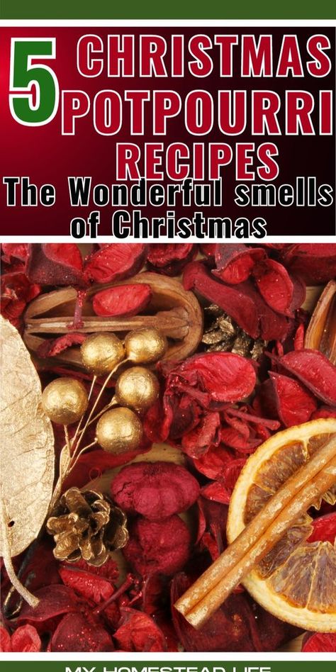 Creating Christmas potpourri is a wonderful way to infuse your home with festive scents during the holiday season. Here are five Christmas potpourri recipes that you can make easily: #Christmas Potpourri #Holiday Aromatherapy #Festive Scented Potpourri #DIY Christmas Scents #Homemade Potpourri Recipes #Holiday Spice Potpourri #DIY Fragrance Blends #Winter Home Scents #Christmas Essential Oils Winter Potpourri, Christmas Essential Oils, Potpourri Diy, Smells Of Christmas, Holiday Potpourri, Vegan Christmas Dinner, Homemade Potpourri, Potpourri Gift, Simmer Pot Recipes