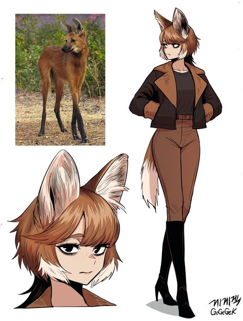 Maned Wolf, Monster Girl Encyclopedia, Wolf Character, Hybrid Art, Demi Human, Fox Girl, Fantasy Creatures Art, Anime Animals, Cute Characters