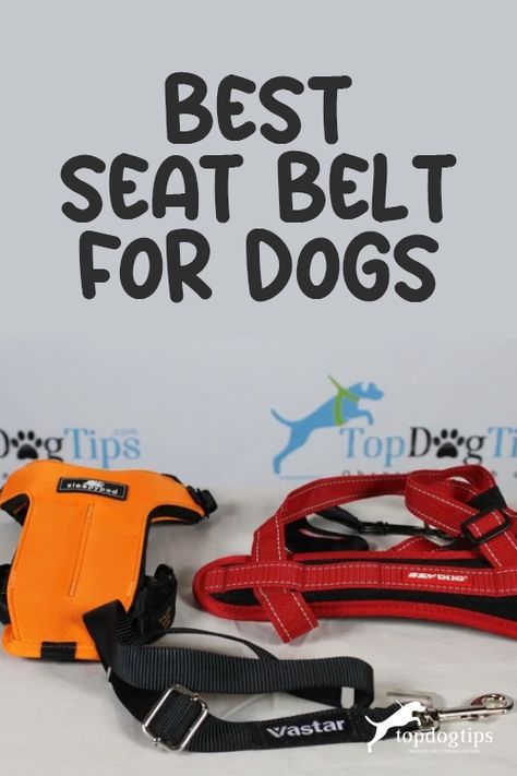 Whether your pooch always rides shotgun or only goes in the vehicle when he has an appointment, having the best seat belt for dogs is a must, all for the safety of your dog and anybody else inside the car. Dog Safety In Car, Small Dog Car Seat, Dog Car Travel, Dog Car Harness, Dog Car Safety, Dog Hammock For Car, Best Small Dogs, Dog Car Seat Belt, Car Harness