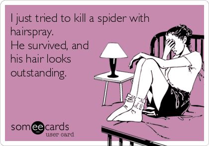 Funny Ecard: I just tried to kill a spider with hairspray. He survived, and his hair looks outstanding. Clipuri Video, True Blood, E Card, Ecards Funny, Someecards, I Smile, Going To The Gym, Bones Funny, True Stories