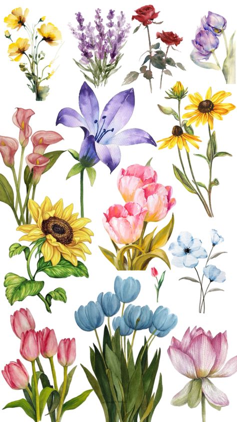 #flowers #wallpaper #aesthetic Flowers Wallpaper Aesthetic, Scrapbook Letters, Note Writing Paper, Collage Book, Botanical Tattoo, Flowers Wallpaper, Flower Art Painting, Bottle Painting, 3d Flowers