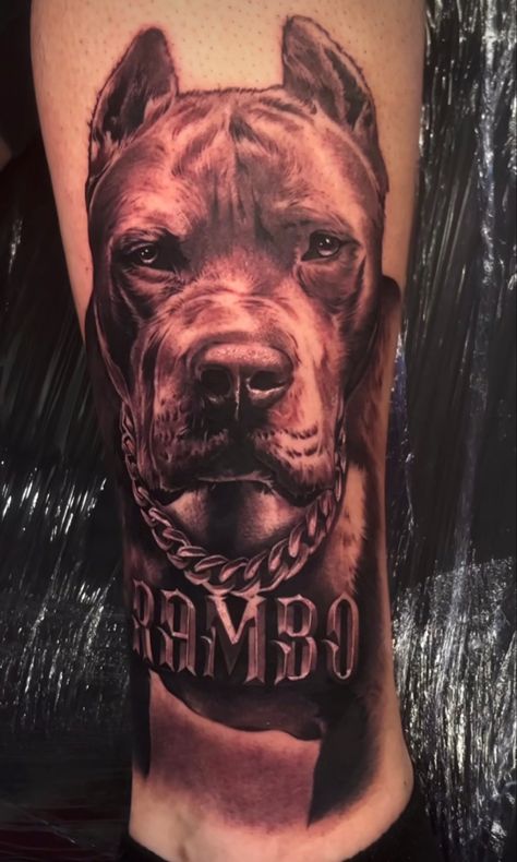 American Bulldog Tattoo, Pitbull Tattoos, Calf Tattoo Men, Herren Hand Tattoos, Dog Portrait Tattoo, Blade Tattoo, Pitbull Tattoo, Bulldog Tattoo, Pitbull Art