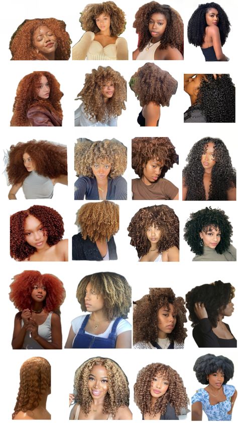 ginger, honey blonde, blonde, brown, black, ginger hair, ginger curls, honey blonde hair, honey blonde curls, blonde hair, blonde curls, brown hair, brown curls, black hair, black curls, curly hair, curls, curly hair dye, hair dye, curly hair dye ideas #curlyhair #curlyhairdyeideas #ginger #gingercurls #brunette #browncurls #blonde #blondecurls #honeyblonde #honeyblondecurls #blackhair #blackcurls #hairdye #dyedhair Black Ginger Hair, Hair Dye Curly Hair, Curls Brown Hair, Curls Black Hair, Curls Blonde Hair, Curly Hair Dye Ideas, Dye Curly Hair, Curly Hair Dye, Honey Blonde Curls