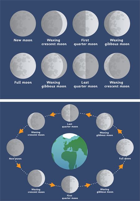 Early Learning Resources Phases of the Moon Posters 8 Phases Of The Moon, Moon Phases Activities, Moon Phases Poster, Early Years Teaching, Space Journal, Moon Posters, Pretty Posters, Visual Timetable, Forest School Activities