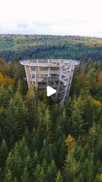 Hand Luggage Only on Instagram: "Location: Baumwipfelpfad Schwarzwald in the Black Forest in Germany #travel #germany #blackforest #traveltips" German Travel, German Architecture, Airplane Mode, Hand Luggage, Germany Travel, Culture Travel, Black Forest, European Travel, Family Travel