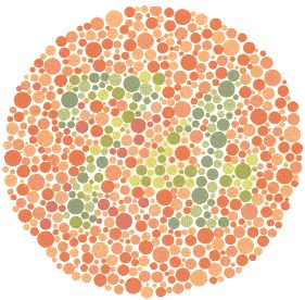 Maybe you're colour blind and you don't realise it? Eye Color Test, Color Blind Test, Color Vision Deficiency, Colour Blind, Blind Test, Birth Colors, Test Image, Shingle Colors, Color Vision