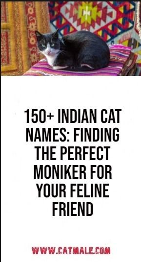 150+ Indian Cat Names: Finding the Perfect Moniker for Your Feline Friend Cute Cat Names Indian, Female Cat Names Unique, Indian Cats, Unique Cat Names, Cute Cat Names, Indian Names, Creative Names, Unique Cats, Cat Names