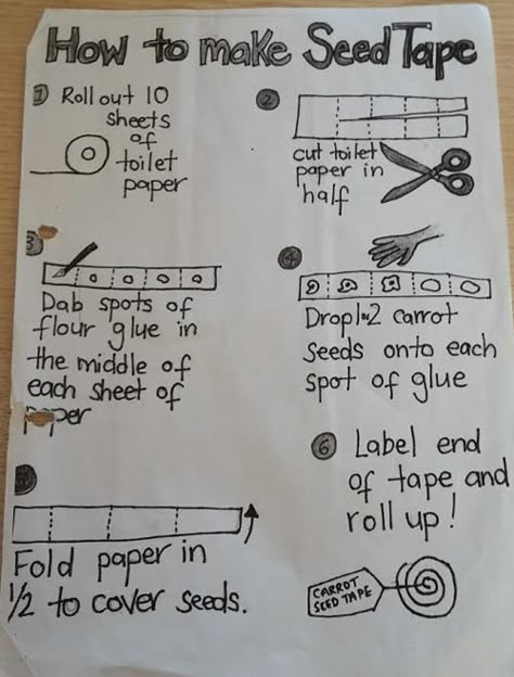 Seed Tape Diy, Environmental Club, Greenhouse Planting, Seed Tape, Garden To Table, Seed Starter, Diy Gardening, Seed Saving, School Garden