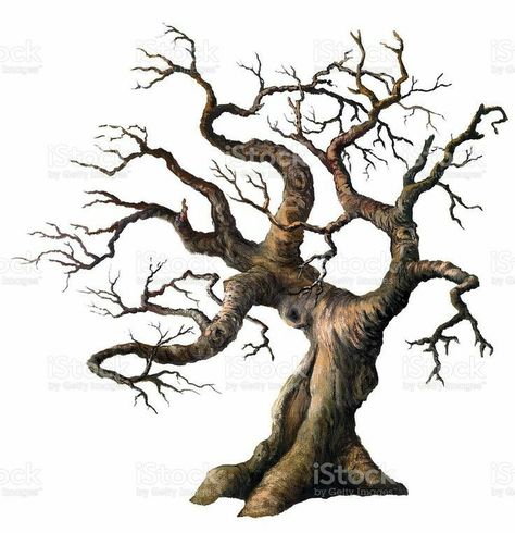 Old Tree Drawing, Oak Tree Drawings, Tree Drawings, Drawing Kids, Old Oak Tree, Tree Drawings Pencil, Tree Artwork, Old Tree, Pinturas Disney