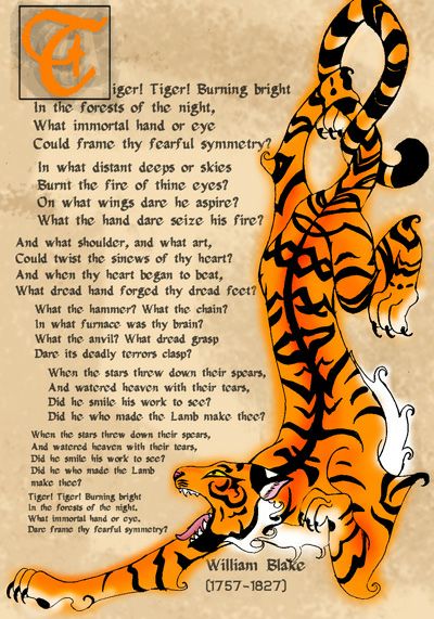 Blake Poetry, The Tyger William Blake, William Blake Quotes, The Lamb William Blake, London William Blake Poem Analysis, William Blake Paintings, Celtic Tiger, Tiger Quotes, Tiger Spirit Animal