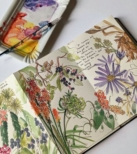 Orange Song, Wild Carrot, Seed Heads, Art Diary, Arte Inspo, Arte Sketchbook, Alphonse Mucha, Nature Journal, Gustav Klimt