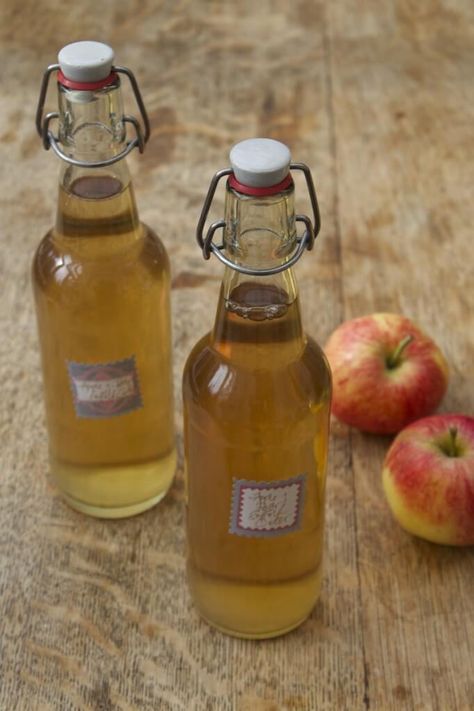 10 Tips for Better Homemade Cider - And Here We Are Hard Cider Recipe, Homemade Liqueur Recipes, Making Hard Cider, Cider Recipes, Homemade Wine Recipes, Homemade Cider, Making Apple Cider, Cider Press, Homemade Liquor