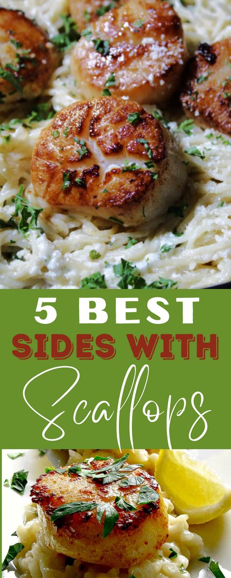 The answer to what to serve with scallops - best sides with scallops from pasta to risotto to vegetables that compliment your sea scallops for the ultimate seafood dinner. #scallops #whattoservewithscallops #sidedishesscallops #scallopssidedishes #bestsideswithscallops #seafoodsidedishes #bestsidesseafood #agoudalife Side Dishes For Scallops, Scallop Dinner, Scallop Recipes Healthy, Shrimp And Scallop Recipes, Easy Scallop Recipes, Creamy Garlic Mashed Potatoes, Scallop Pasta, Spicy Seafood, Fresh Scallops