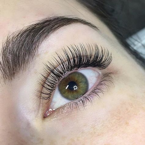 Major #lashgoals going on right now. These classic lashes are too perfect! @redlashstudio we you. Single Eyelash Extensions, Classic Eyelash Extensions, Eyelash Extensions Aftercare, Natural Fake Eyelashes, Eyelash Extension Training, Longer Lashes, Eyelash Extensions Styles, Perfect Eyelashes, Natural Eyelash Extensions