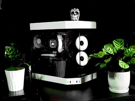 Black and white PC build with plant aesthetics to compliment colorless pallet. Utilized PC case HYTE Y60 for modern yet unique design compared to traditional PC towers. Black Pc Build Aesthetic, Black And White Pc Build, Hyte Y60 Build, Black And White Pc, Home Studio Setup, Pc Setup, Studio Setup, Gaming Setup, Home Studio