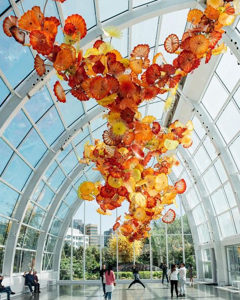 America’s Most Stunning Museums to Visit This Summer | Chihuly Garden and Glass Seattle Aesthetic, Seattle Pictures, Seattle Travel Guide, Chihuly Garden, Garden Front Of House, Seattle Photography, Seattle Photos, Seattle Trip, Seattle Travel