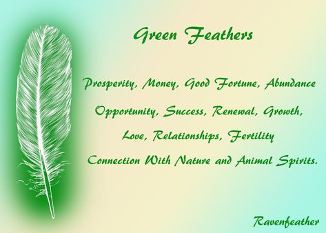 Green Feathers Green Feather Meaning, Feather Color Meaning, Feather Magic, Animal Totem Spirit Guides, Finding Feathers, Spiritual Signs, Feather Symbolism, Feather Meaning, Green Feathers