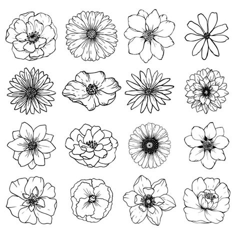 Doodle Art Flowers, Flower Line Drawings, Flower Art Drawing, Flower Sketches, Floral Drawing, Pola Sulam, Flower Doodles, Different Flowers, Abstract Photos