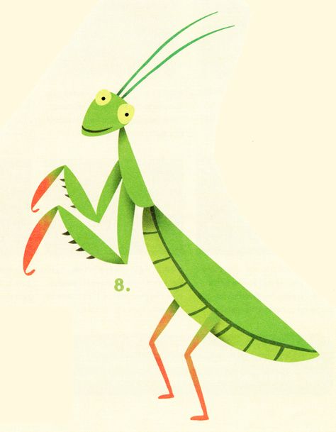 Praying Mantis Illustration, Mantis Illustration, Grasshopper Illustration, Bug Illustration, Pennsylvania Dutch Art, Bugs Drawing, Graphic Book, Childrens Books Illustrations, Beautiful Bugs