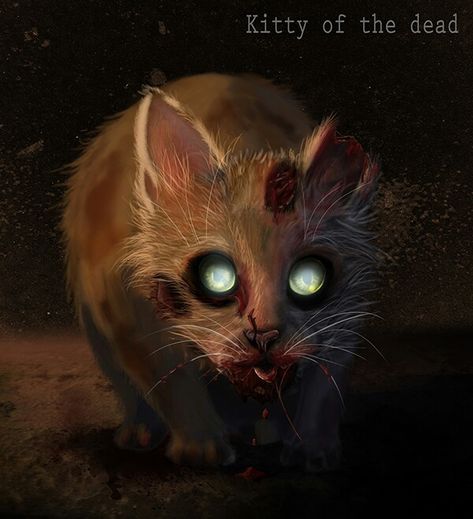 Zombie Cat, Drawing Cat, One Night, Zombie, Digital Drawing, Get Started, Digital Art, Halloween, Art