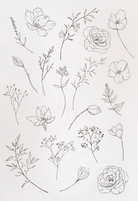 Botanical Leaves, Botanical Tattoo, Muse Art, Flower Sketches, Floral Drawing, Desenho Tattoo, 자수 디자인, Wedding Etsy, Simplistic Tattoos