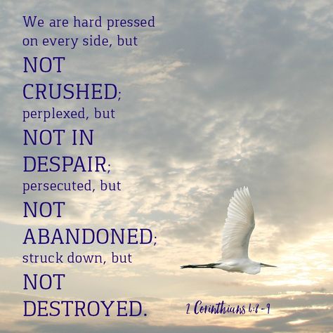 II Corinthians‬ ‭4:8-9‬ ‭NKJV‬‬   We are hard-pressed on every side, yet not crushed; we are perplexed, but not in despair; persecuted, but not forsaken; struck down, but not destroyed— ‭‭ Persecuted Church, Gift From Heaven, Biblical Verses, Spiritual Messages, Light Of The World, Man Up, God Prayer, Faith Inspiration, Gods Grace