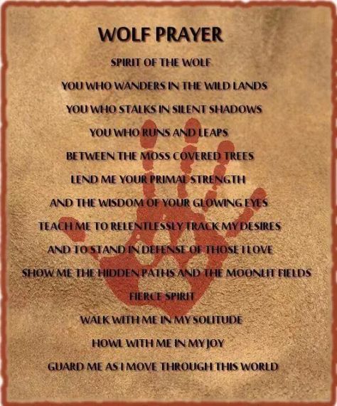 Native Quotes, Lone Wolf Quotes, Native American Prayers, Native American Spirituality, American Quotes, Native American Wisdom, Indian Quotes, Native American Quotes, Wolf Quotes