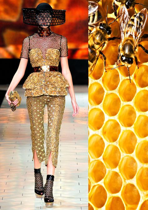 Alexander McQueen SPRING 2013 RTW  Honeycombs and Honey Bees Bee Themed Outfit Aesthetic, Insect Inspired Dress, Bee Fashion Design, Honeycomb Costume, Bee Corset, Bee Inspired Outfit, Fashion Show Garments, Art Deco Inspired Fashion, Honeycomb Fashion