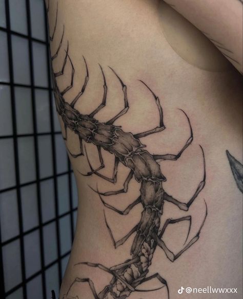 Centipede Tattoo, Emo Tattoos, Torso Tattoos, Sick Tattoo, Scorpion Tattoo, Back Tattoos For Guys, Creepy Tattoos, Pretty Tattoos For Women, Image Swag