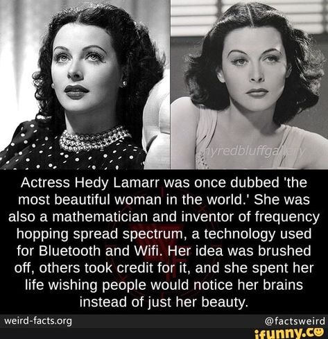 Weird History Facts, Weird History, Hedy Lamarr, History Facts Interesting, Unbelievable Facts, Cool Facts, The Most Beautiful Woman, Science Facts, Historical Facts