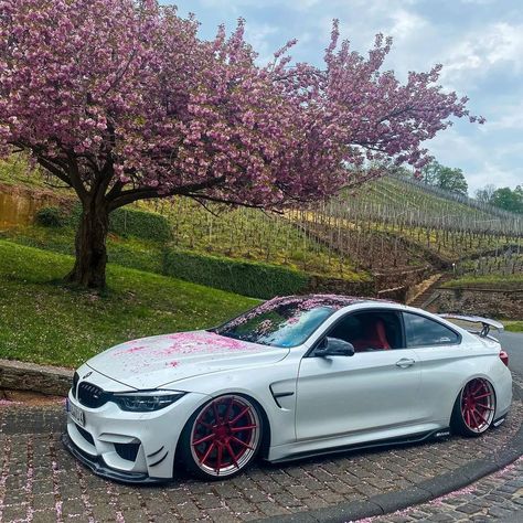 Baddie Cars, Car Modification Ideas, Pink Bmw, Girl Cars, Balcon Mic, Bmw 650i Gran Coupe, Blurry Pics, Bmw M Series, Serie Bmw