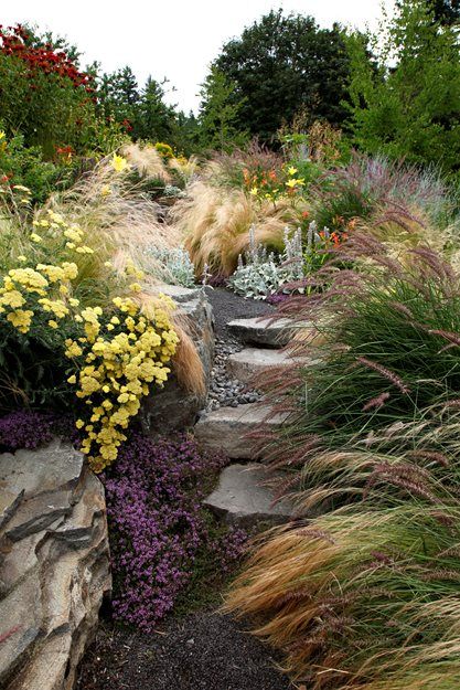 Portland Garden by a Dream Team of Eco-Friendly Designers | Garden Design Portland Garden, Oregon Garden, Fountain Grass, Grasses Garden, Mish Mash, Have Inspiration, Sustainable Garden, Nature Garden, Landscaping With Rocks