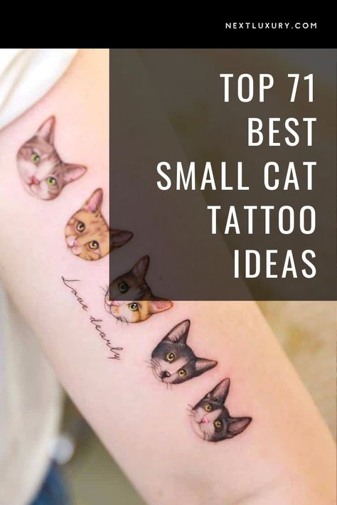 Small cat tattoos have fast become a body art staple. Tattoo artists need to be able to work across a range of design styles as people look to get ink to symbolize their prized pet. Cat Tats, Tattoos For Pets Cats, 5 Cats Tattoo, Fuzzy Cat Tattoo, Delicate Cat Tattoo, Tattoo Ideas For Cat Lovers, Small Cat Tattoo Simple, Multiple Pet Tattoo Ideas, Cat Tattoo Designs Unique