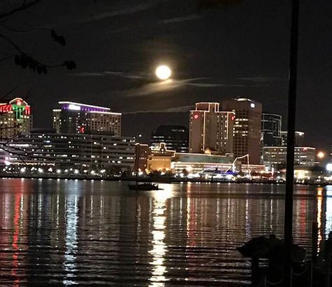 A view of downtown Norfolk, Va Christmas holiday lights. Shot from the banks of Olde Towne Portsmouth, VA. Newport News Virginia, Portsmouth Va, Norfolk Virginia, Mormon Temple, Norfolk Va, Newport News, Hampton Roads, Holiday Lights, Portsmouth