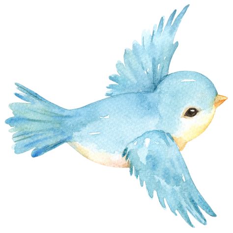 Watercolor Beginner, Bird Drawings, Bird Illustration, Watercolor Bird, Cute Birds, Premade Logo, Watercolor Animals, Blue Watercolor, Little Bird