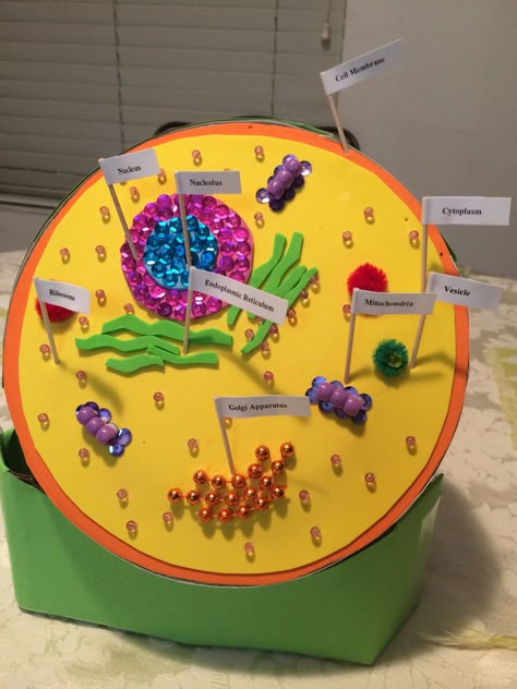 Animal Cell Project Ideas Models, Eukaryotic Cell Model, Cell Organelle Project, Human Cell Project Ideas, Cell Diagram Project, Organelle Project, 3d Animal Cell Project, 3d Cell Project, Animal Cell Model Project