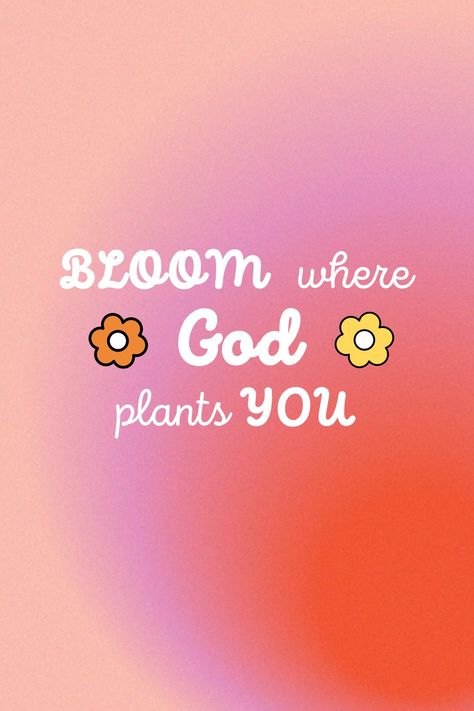 Bloom Where You are Planted Bloom , Spring Sign, Bloom sign, Inspirational quote Bloom Where God Plants You, Bloom Where You Are Planted Bible Verse, Bloom Where You Are Planted, Let Me Down, Spring Sign, Never Gonna, 2024 Vision, Decor Project, Inspirational Quote