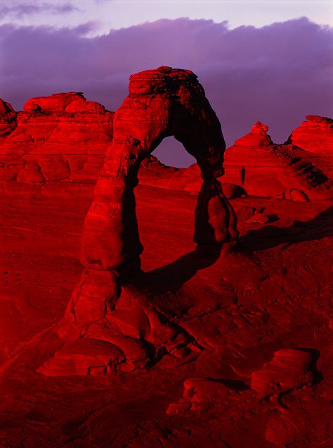 Red Photos, The Game Of Life, Delicate Arch, I See Red, Color Explosion, Catty Noir, Radiant Red, Charcoal Drawings, Simply Red