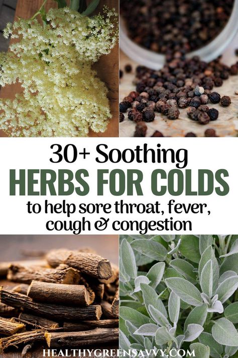 Herbs For Sore Throat, Herbs For Cough, Herbs For Colds, Remedies For Congestion, Help Sore Throat, Tea For Cough, Congestion Remedies, For Sore Throat, Sore Throat Remedies