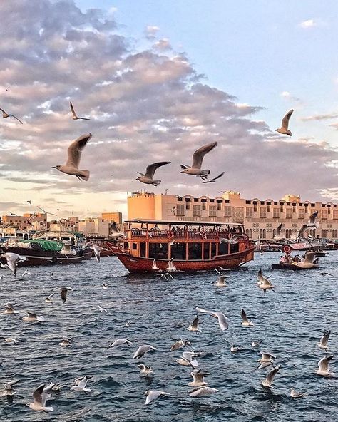 visit.dubaiFeel the rush that the breathtaking scenery will give you as you take a ride on the traditional Abra, with views of a world where old meets new, where nature, history and the future all fuse to create a magical setting at #DubaiCreek. Today's #VisitDubai #travelgram is courtesy of @boyintsik Dubai Creek, Dubai Desert Safari, Desert Safari Dubai, Spring Camping, Dubai Tour, Ferrari World, Dubai Desert, Visit Dubai, Safari Adventure