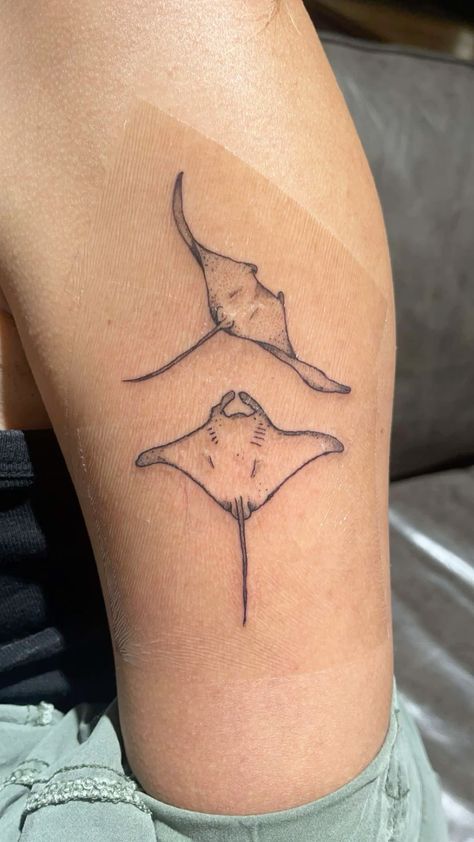 Manta Ray Henna Tattoo, Many’s Ray Tattoo, Cute Cat Tattoos For Women, Nature Tattoos Aesthetic, Whale Shark And Manta Ray Tattoo, Stingray Leg Tattoo, 2 Stingray Tattoo, Rib Cage Tattoos For Women Big, Stingray Back Tattoo Women