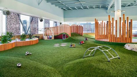 Dog Daycare Indoor, Courtyard Play Area, Indoor Dog Park Play Areas, Dog Indoor Play Area, Dog Play Area Indoor, Dog Daycare Design, Dog Play Area, Indoor Dog Park, Dog Boarding Facility