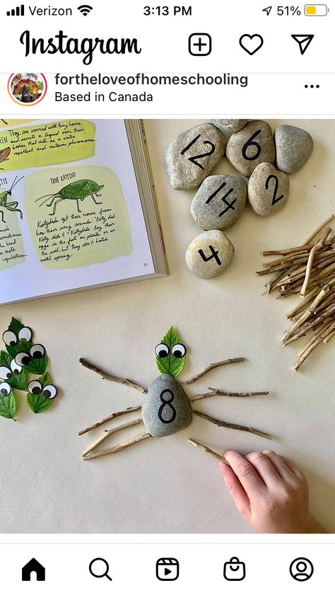 Symmetry In Nature, Nature Based Classroom, Build A Bug, Nature Based Preschool, Numbers Up To 20, Origami Paper Flowers, Bug Activities, Nature Journals, Insects Preschool